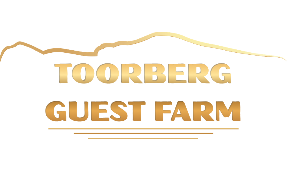 TOORBERG GUEST FARM
